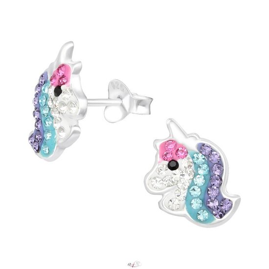 Sudraba auskari - VIENRADZIS